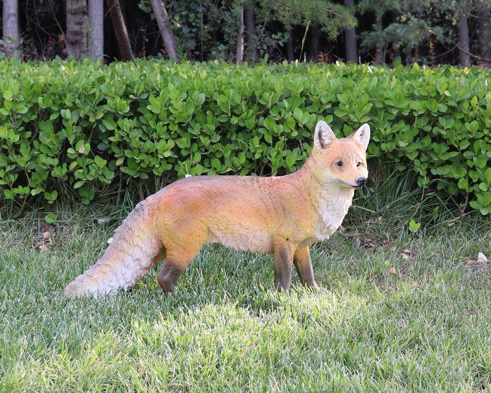 Simulation Fiberglass Fox Animal Sculptures for Garden Landscape Enhancement
