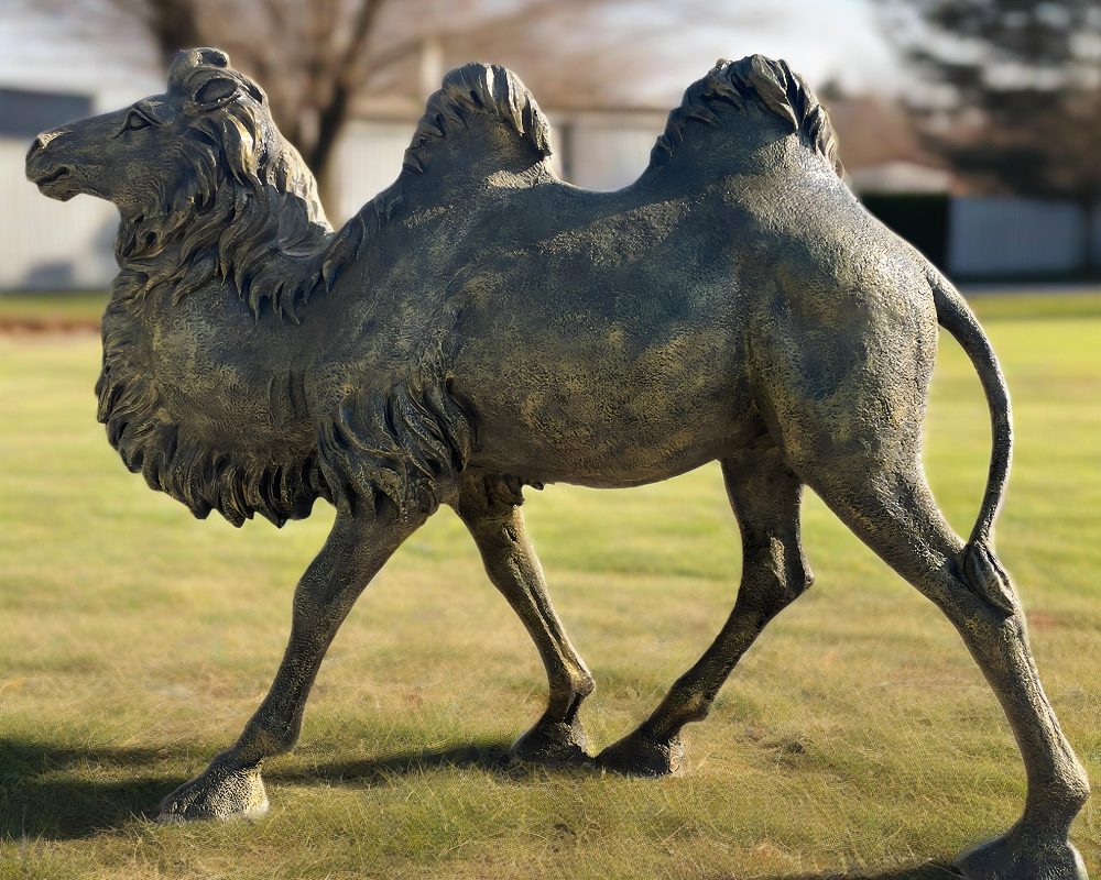 Life Size Simulation Bronze & Fiberglass Camel Sculpture