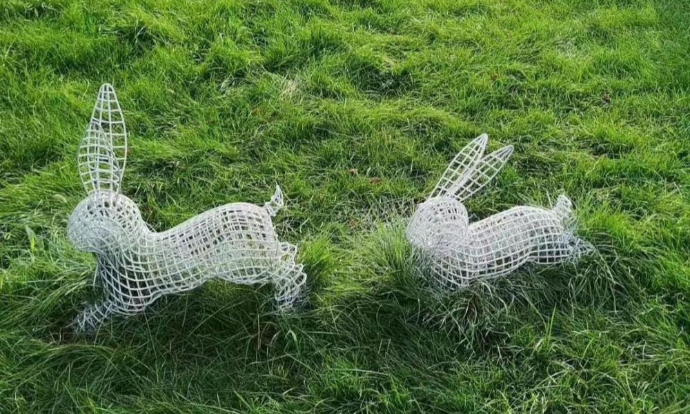 agile rabbits jumping and chasing