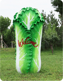 Cabbage and Mushrooms