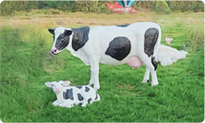 Pedagogical Herd at Sunshine Dairy Farm
