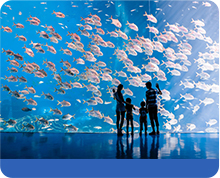 Ocean Park Sculpture