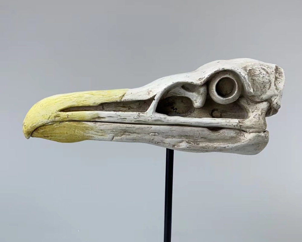 Décorations de crâne en résine d'Halloween pour la décoration intérieure