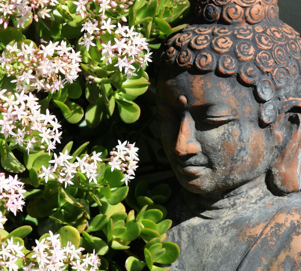 Large outdoor bronze Buddha statue